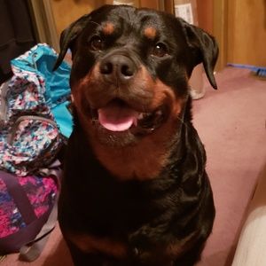 Meet your Posher, Amber